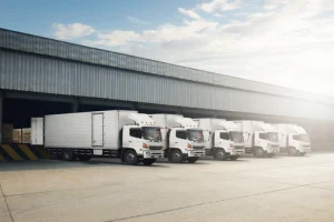 Local Partner Distributor