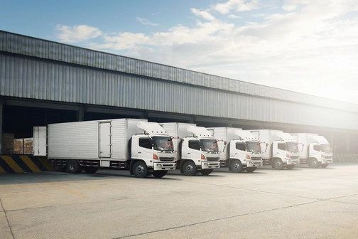 Local Partner Distributor